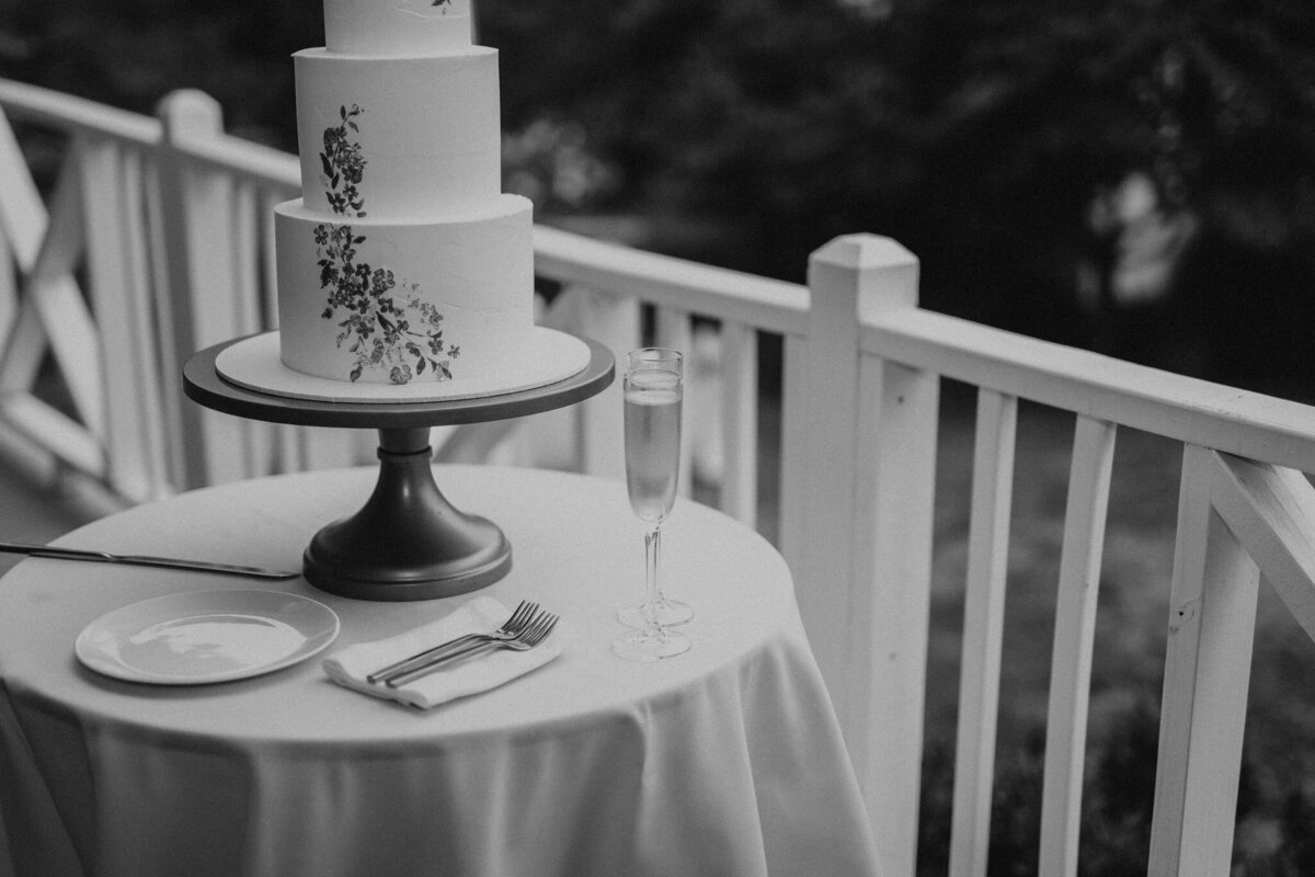 virginiaweddingpatiencenoelphoto-1426