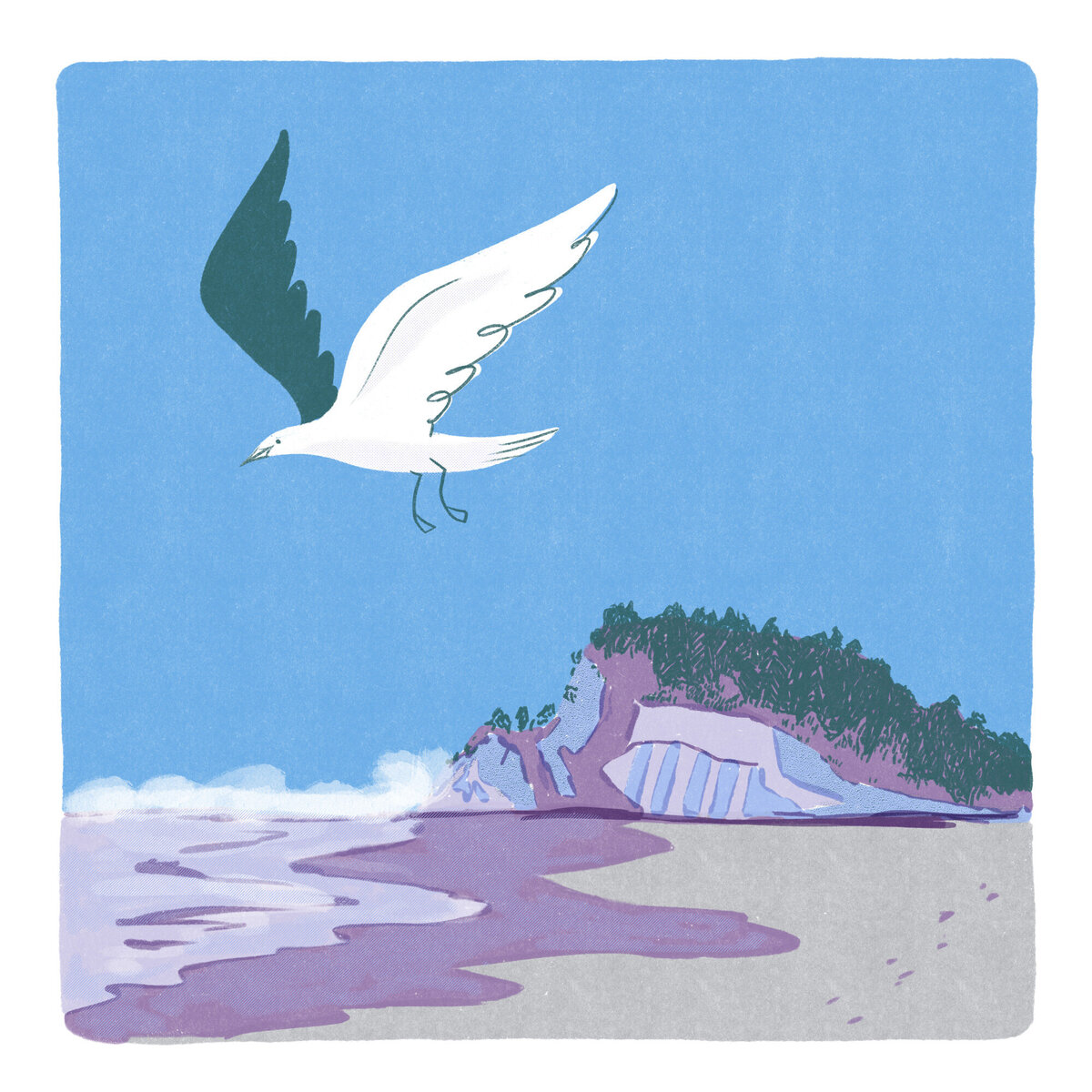 SkyeMcNeill_Day-2-BeachBird_web