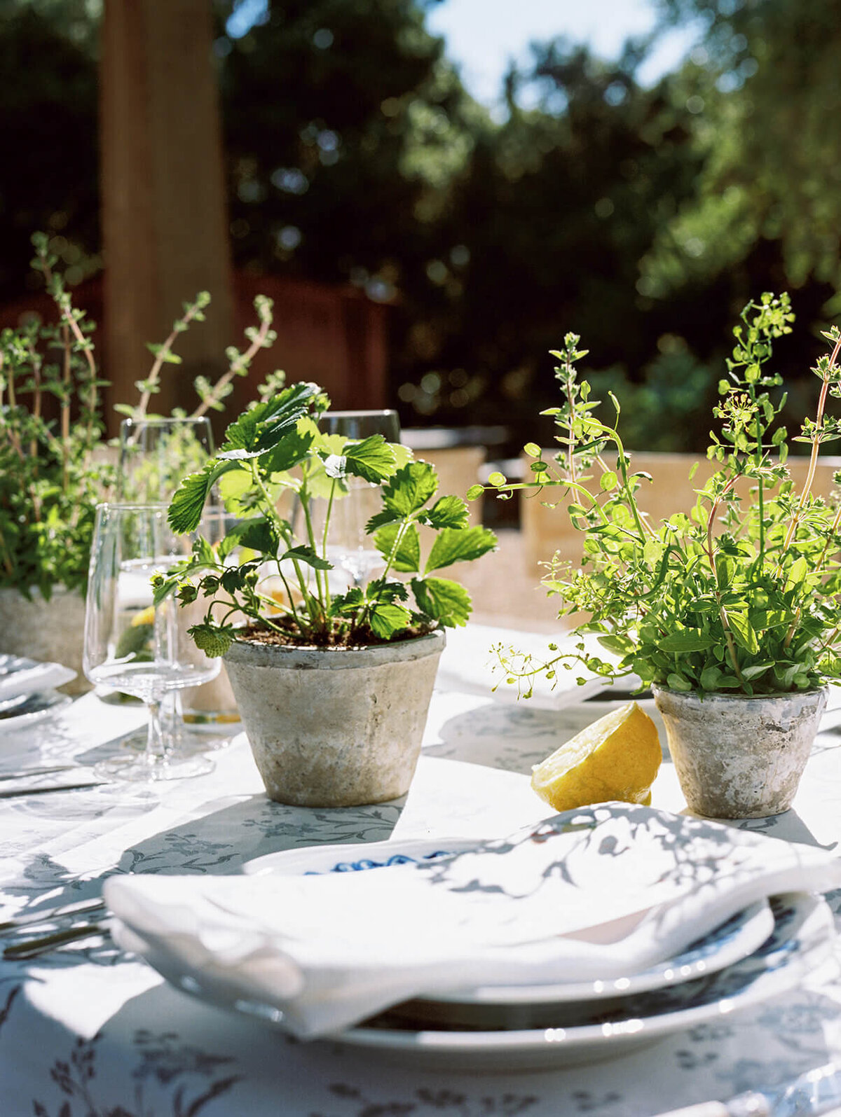 holman- ranch-carmel-valley-california-wedding-chelsea-brooke-events (116)