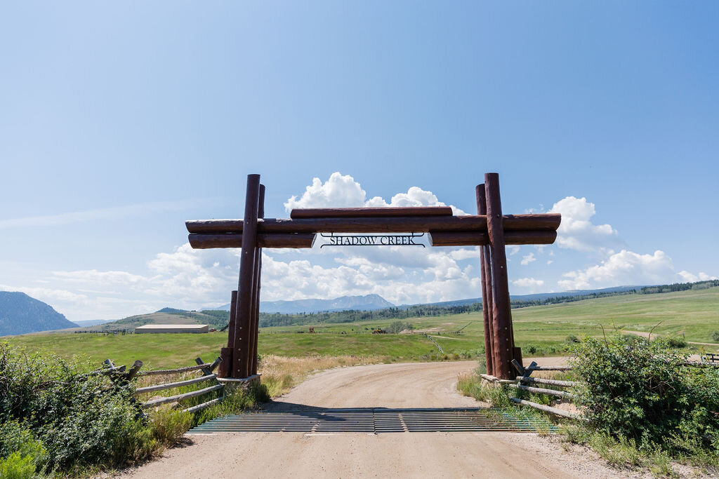 Shadow Creek Ranch- Caroline & Vincent (2)