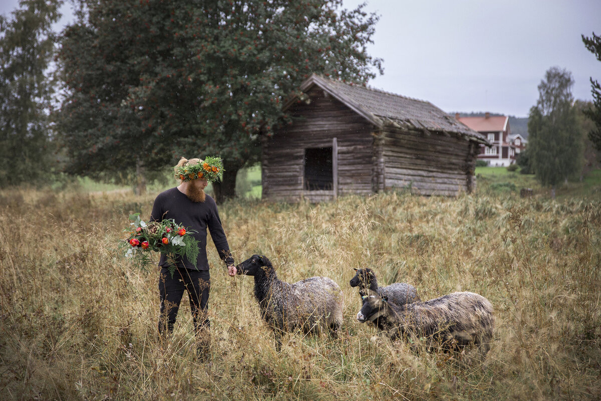 fotograf-hudiksvall-ljusdal-hogbo17