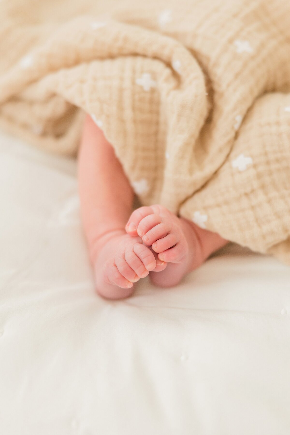Palm Beach Newborn Photographer