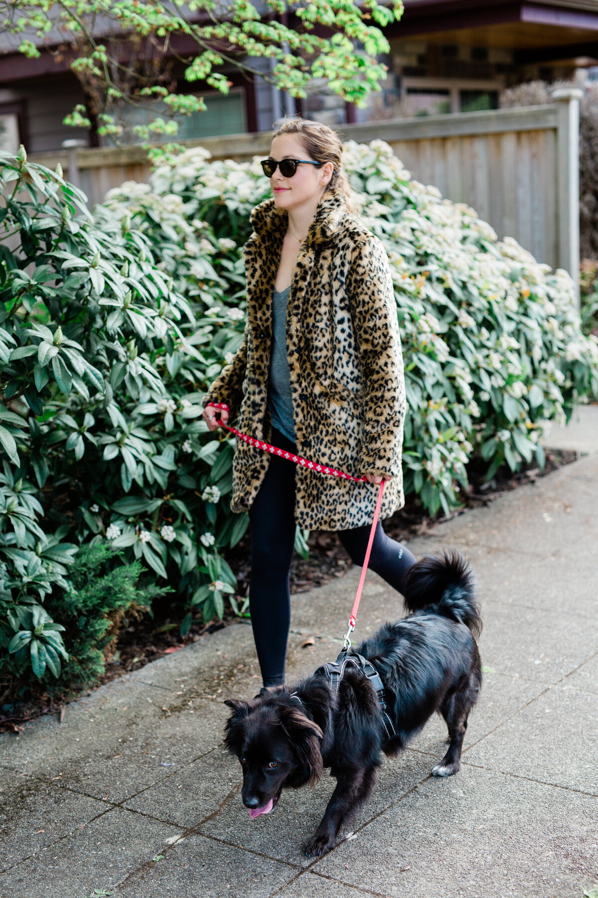 A woman in a leopard-print coat walking her dog in Seattle.