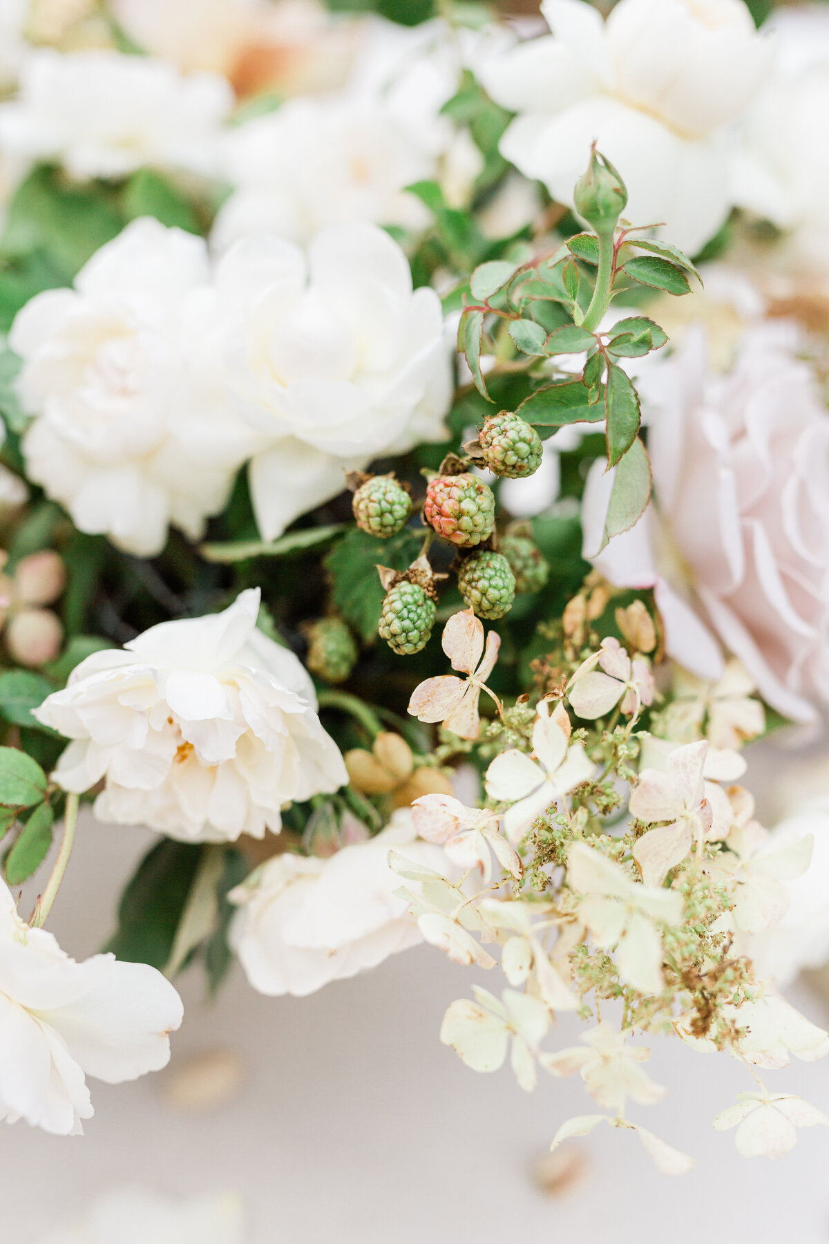BridalGuide-1-5