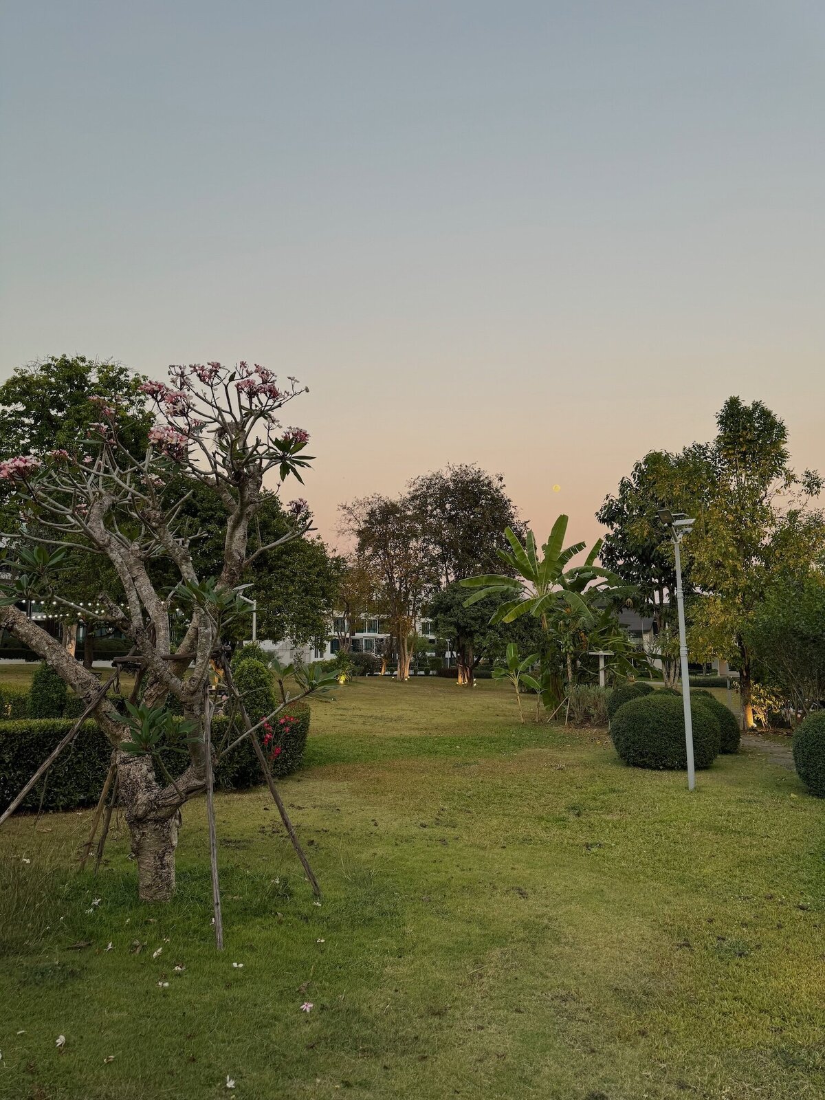 Chiang Mai Garden