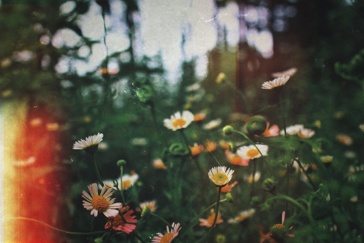 abhishek-koli-PMxTK-bHZhs-unsplash