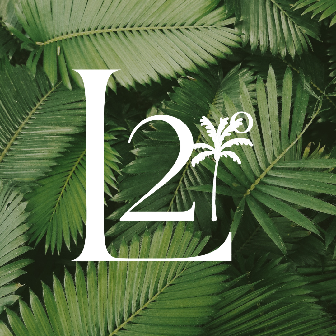 Latitude 21 Travel All Inclusive Resort Vacations latitude-21-travel-all-inclusive-resort-vacations