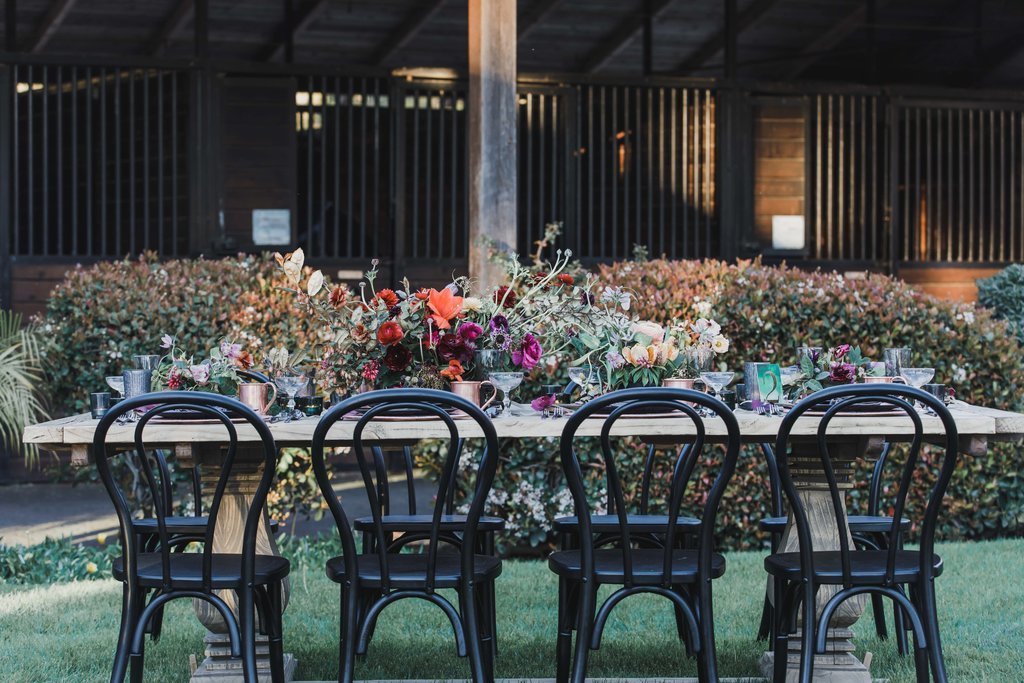 Beautiful Equestrian ROmance at Albert Court in California