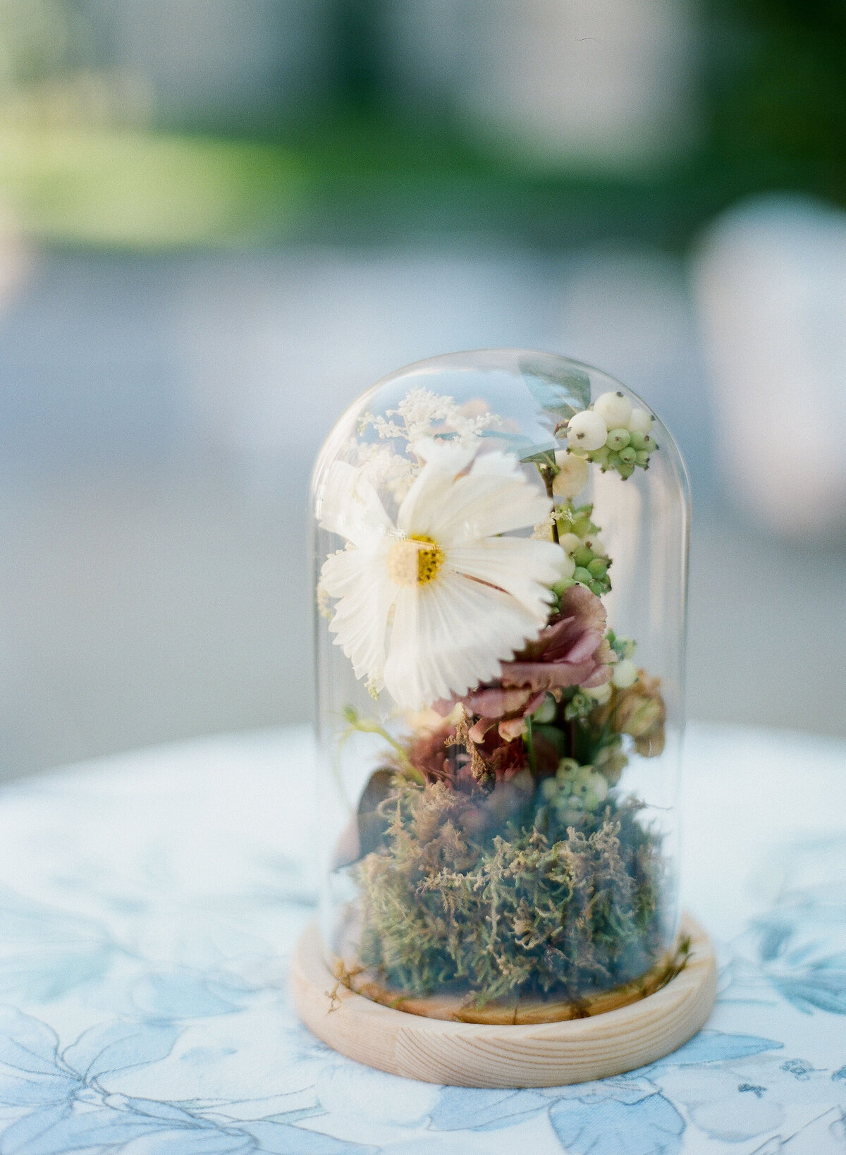 This is a beautiful shot captured at Washington National Cathedral in Washington D.C. by talented photographer Twah Dougherty. The scene features a delicate white flower arrangement, complemented by various greenery and dried elements, all gracefully encased in a clear glass dome resting on a light wooden base. The setup is artfully displayed on a light blue, floral-patterned tablecloth, adding a touch of elegance to the composition. The background, subtly blurred and outdoor, enhances the overall aesthetic of the image. You can also consider Current Films as Videographers for your photography and videography needs!