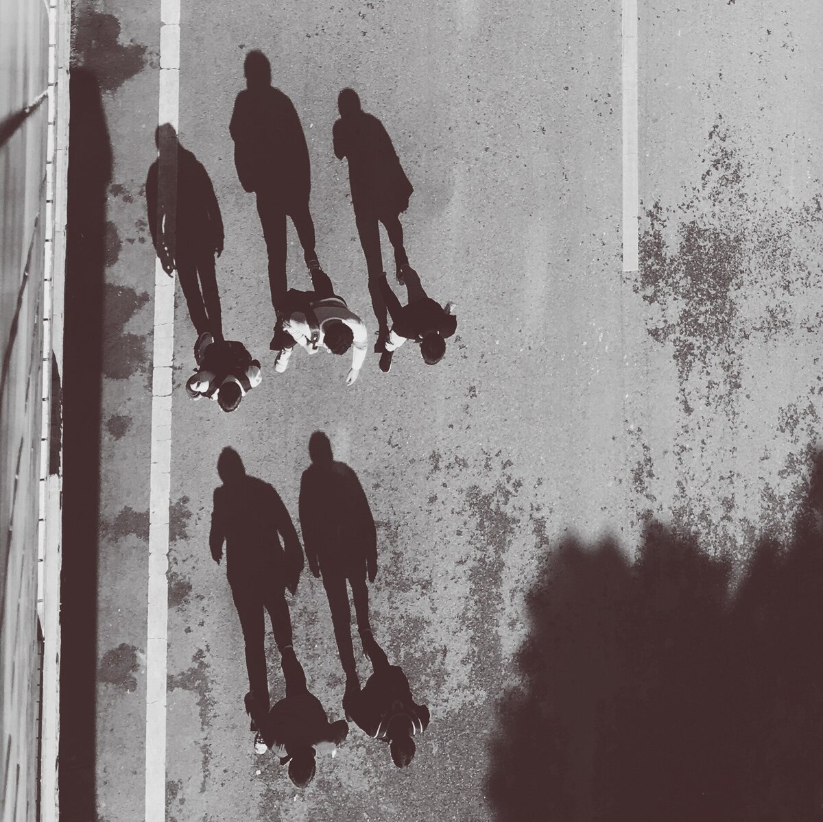 Black and white bird's-eye-view of five people walking down street with their shadows extending behind.