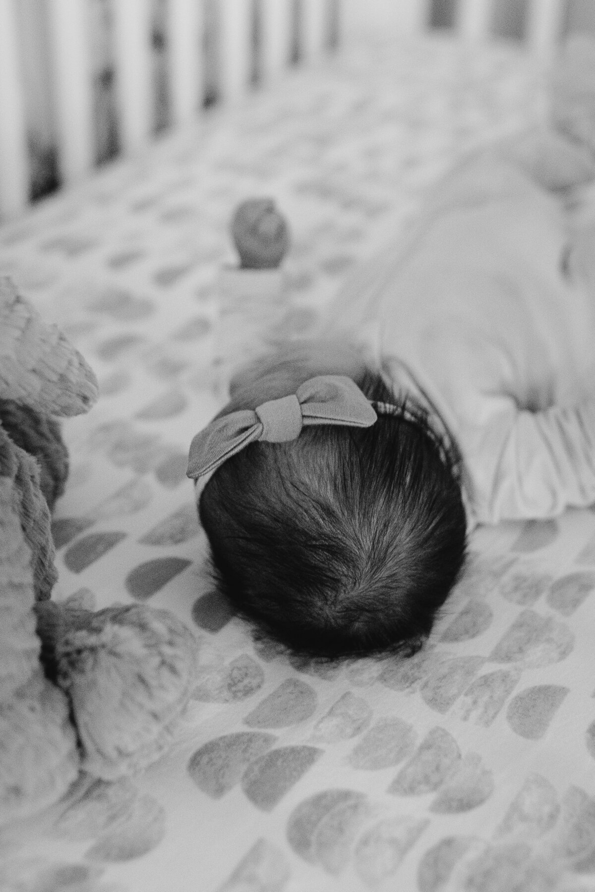 newborn-photos-49