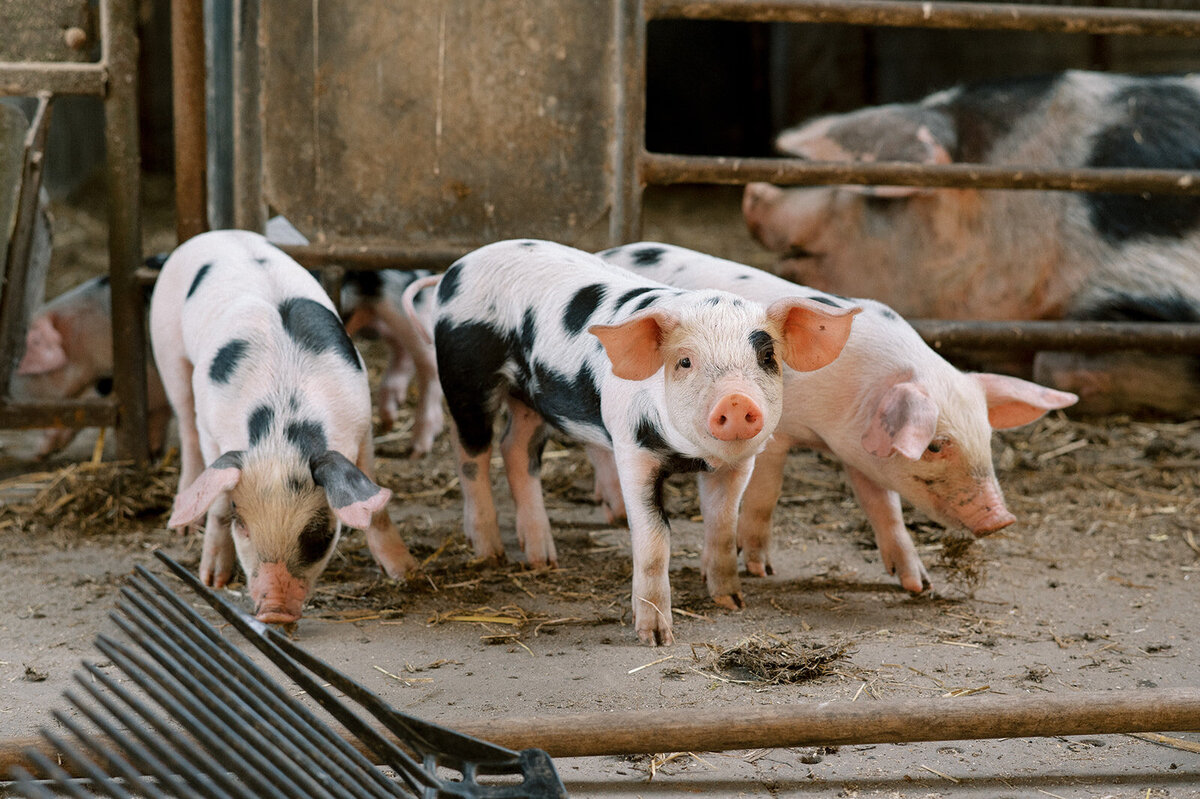 FotostudioFlora_Sengersbroek-13