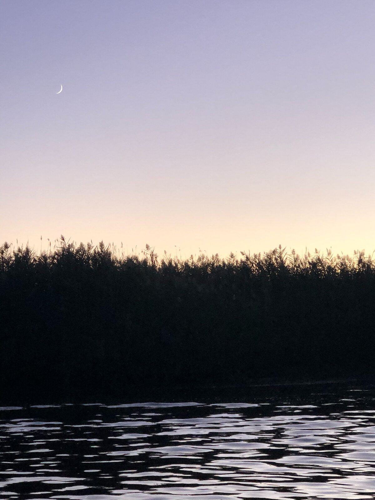 CCC_Estuary_13