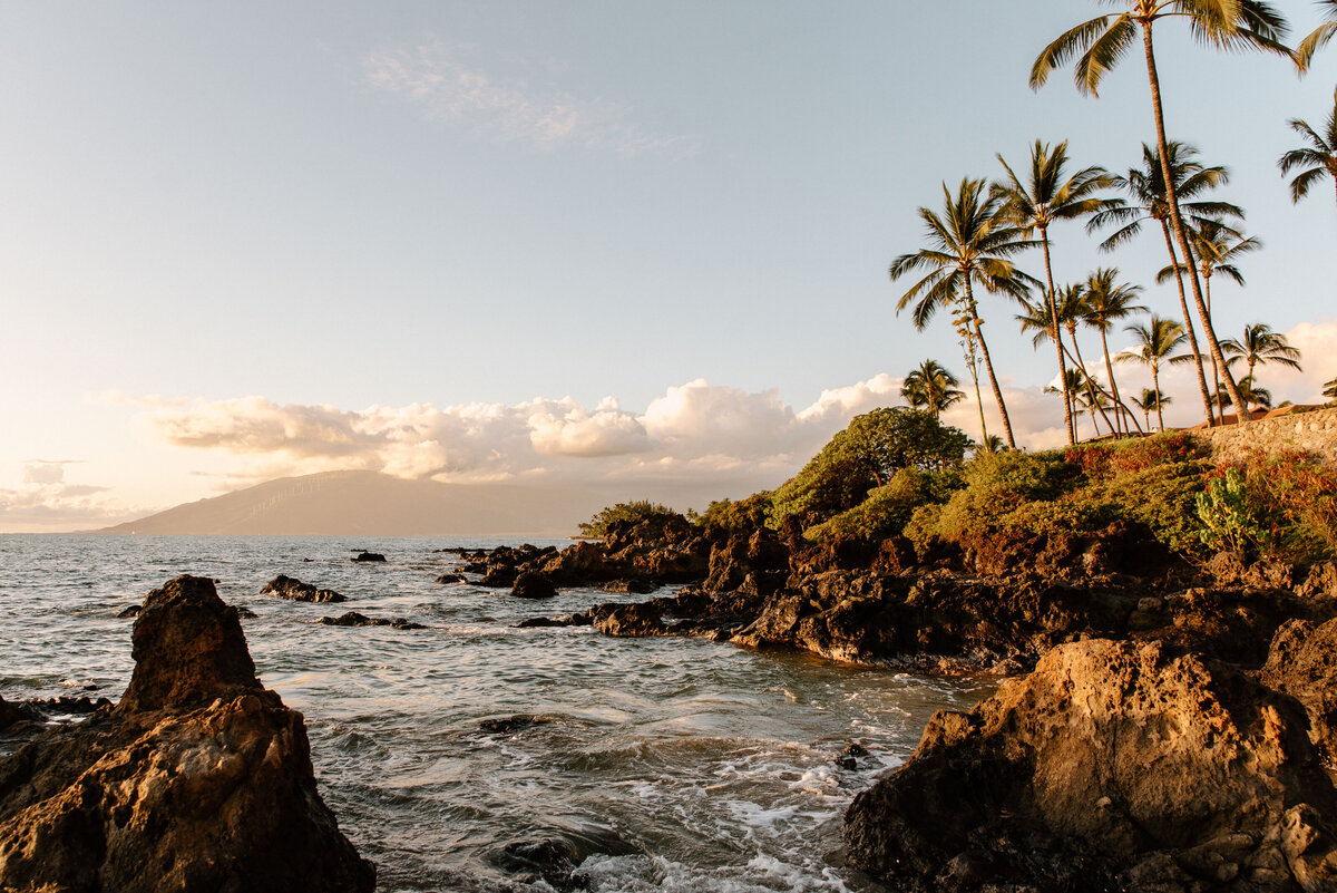 maui_sunset_palm_trees_ocean