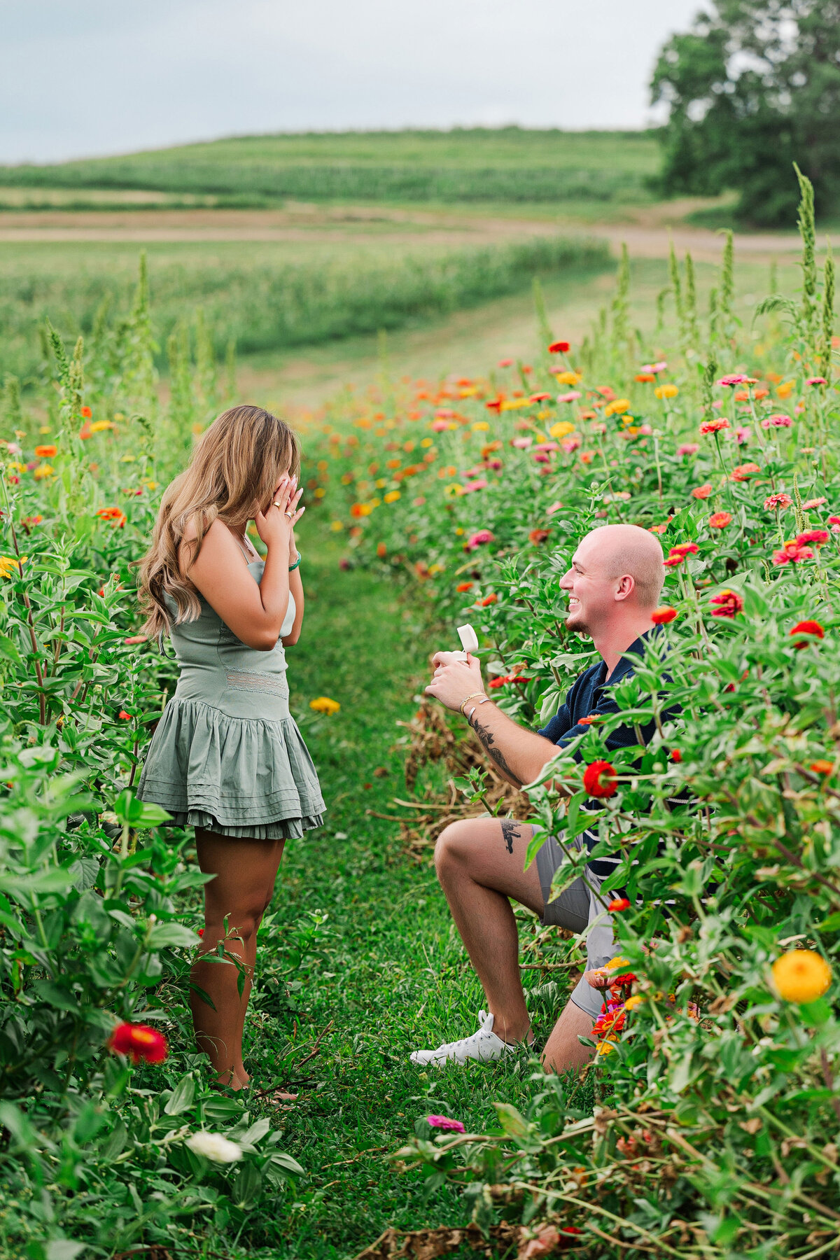 simmons farm flower fields engagement proposal