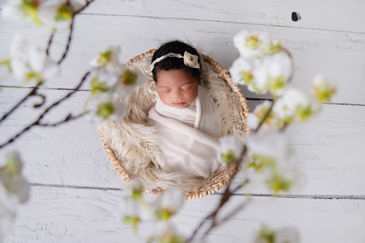 pretoria-newborn-photographer148