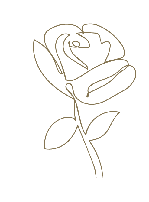 CCC_Templ_Body Illustrations 2-14