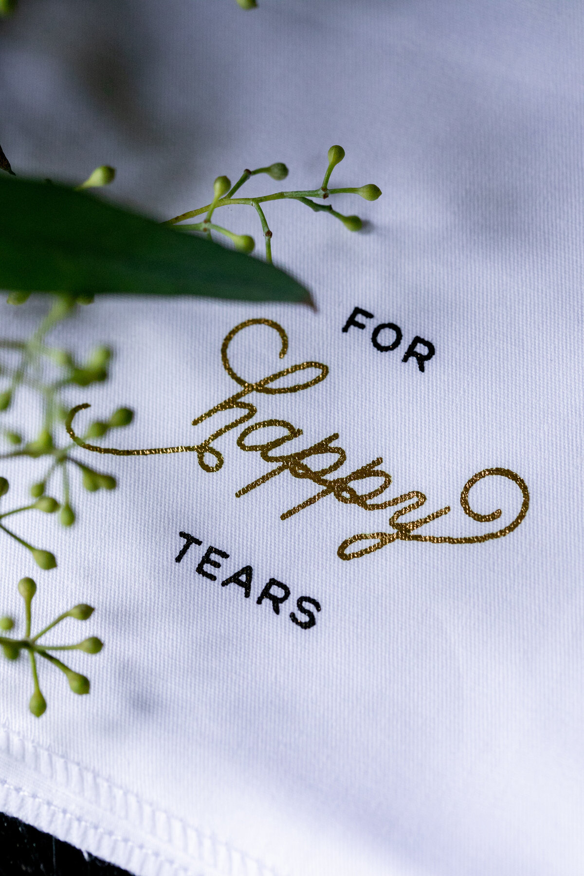 Grand-Rapids-Wedding-Photographer-77