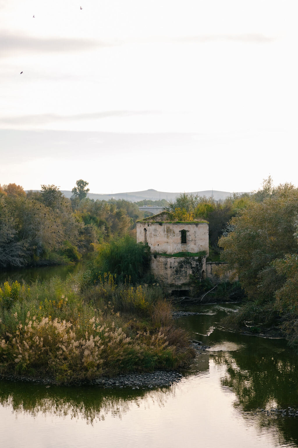 DAY_4©FINEFOLKPHOTOGRAPHY-184
