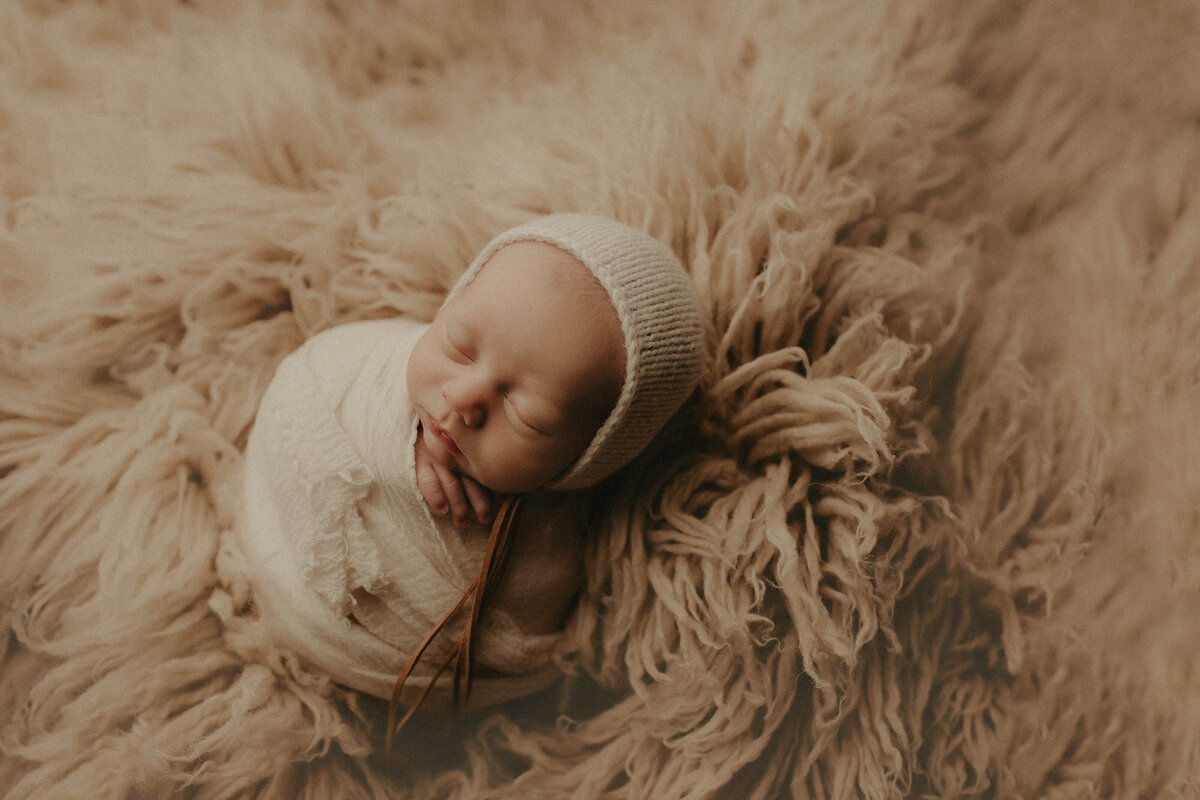 FJ6A6558-Edit
