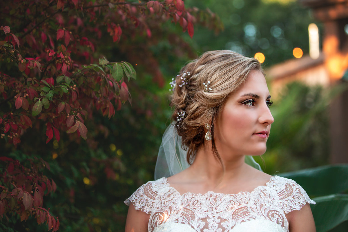 IMG_0460-Edit