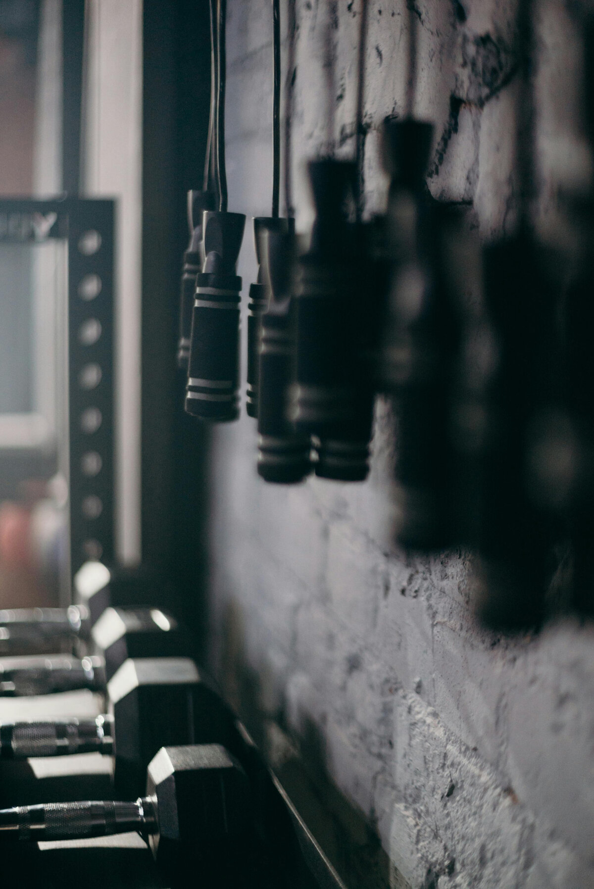 ropes hanging on a wall in a gym