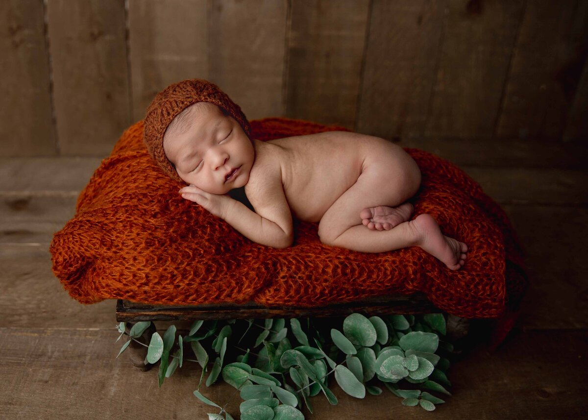 Belliam Photos - Calgary Newborn Photographer-4