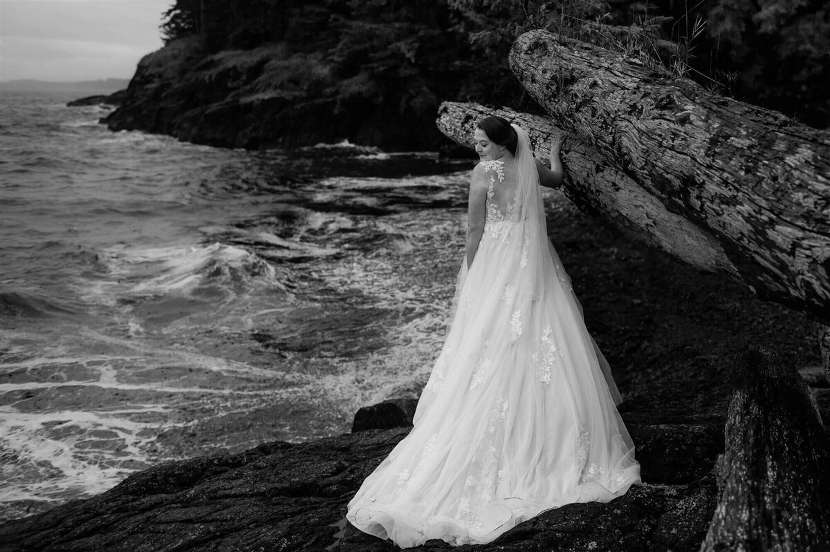 North Vancouver Island wedding reception