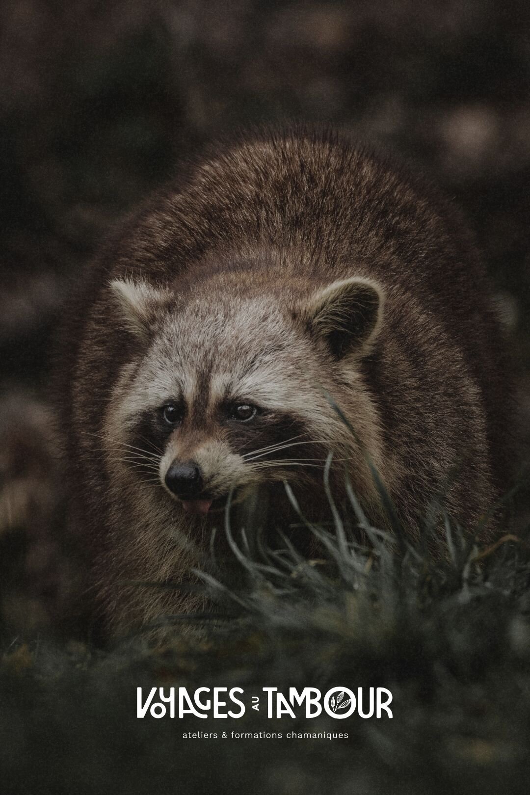 portfolio-bewildstudio-VAT3