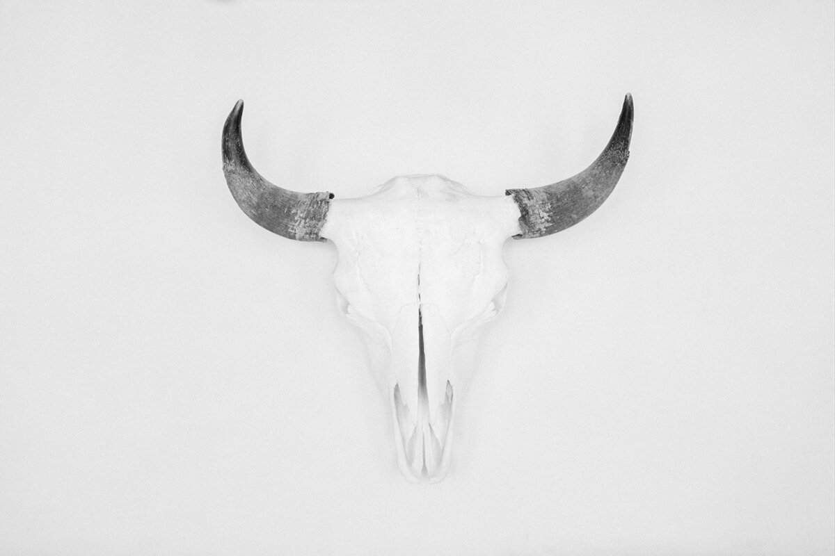 Stephanie&Zacharystory021_websize