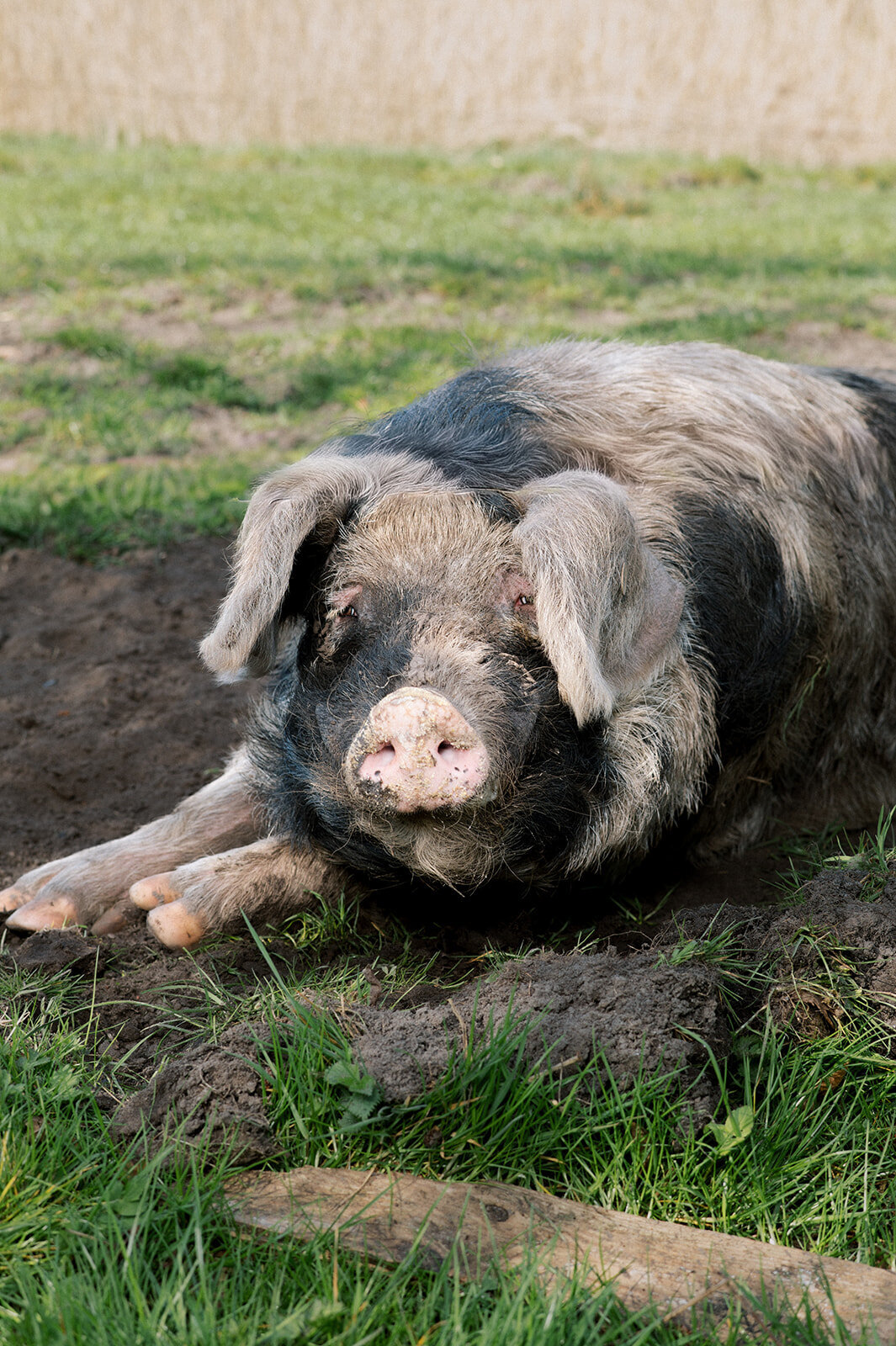 FotostudioFlora_Sengersbroek-34