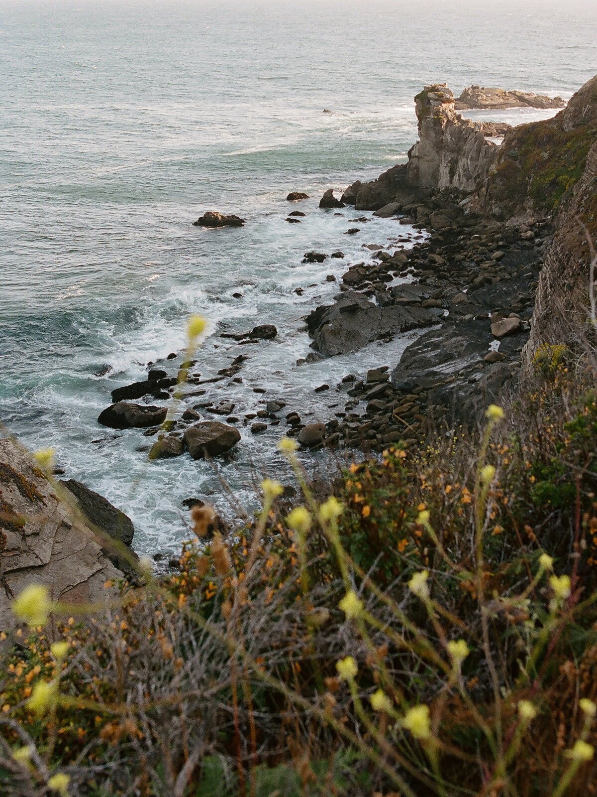 2023.07.06 Risten and Jaimie Timber Cove Engagement_Bethany Picone-161