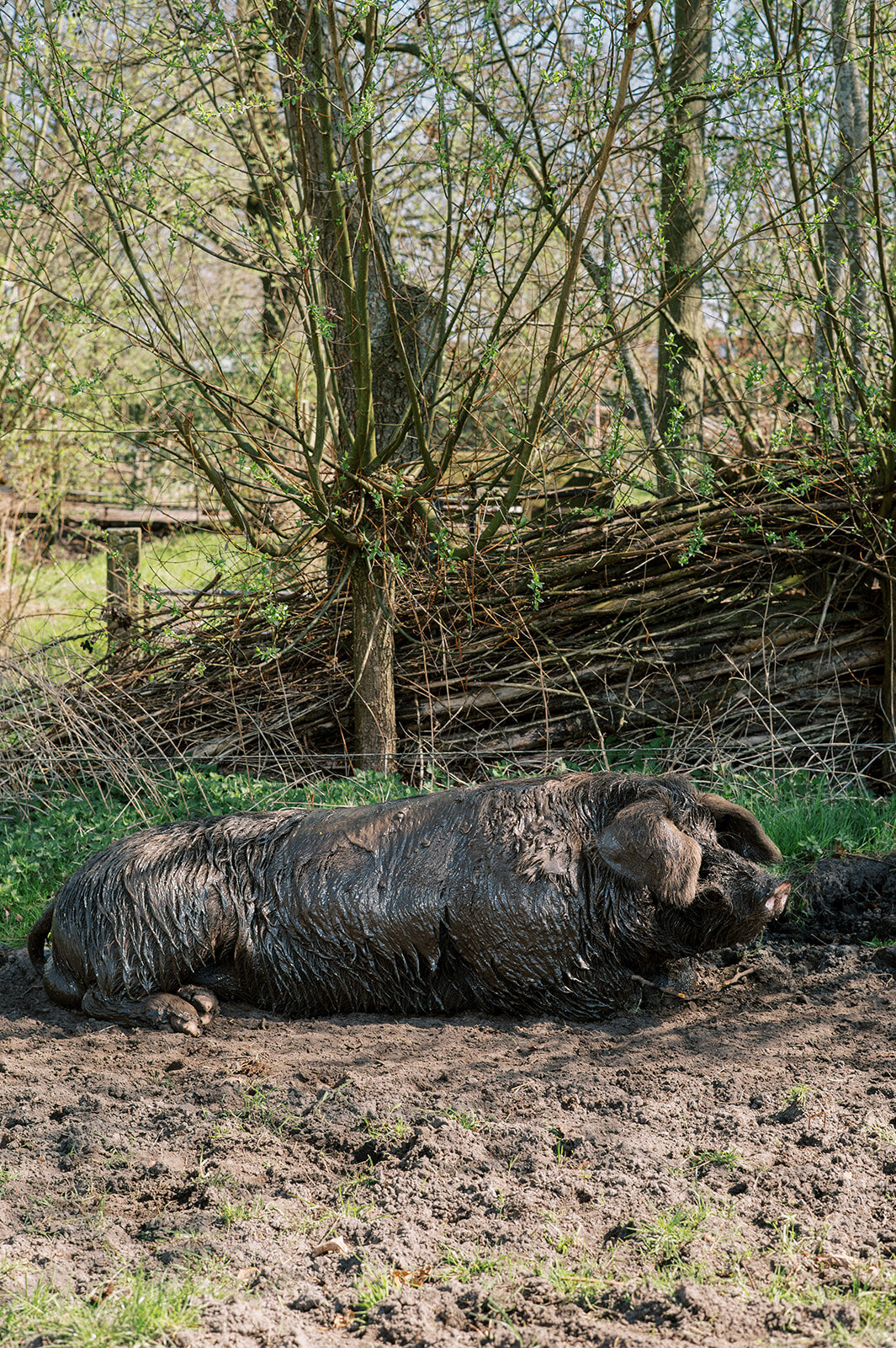 FotostudioFlora_Sengersbroek-61