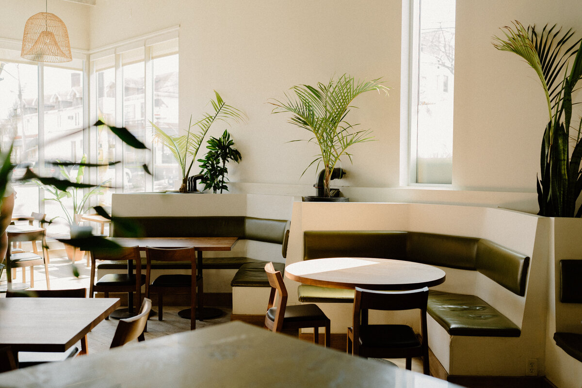 Interior-Plant-Design-Minnesota-Plant-Stylists-52