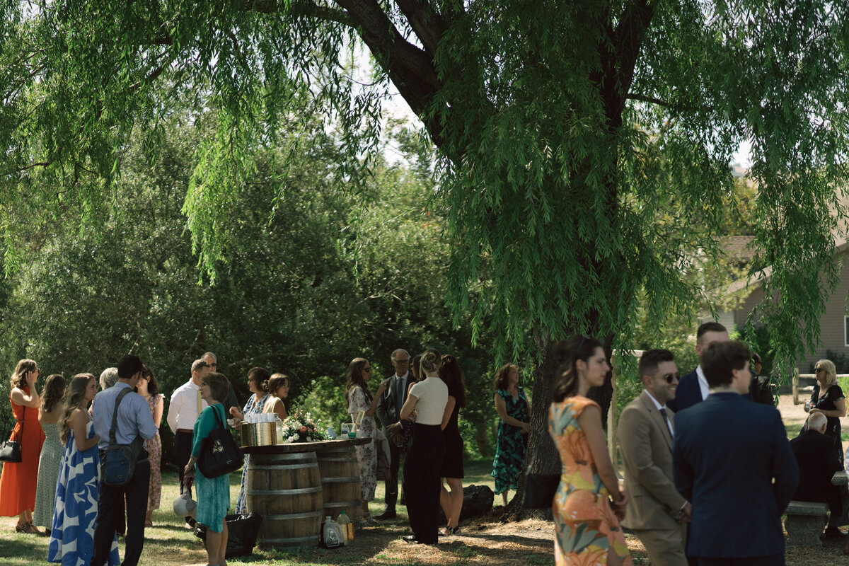 Intimate Wine Country Wedding in Sonoma, California