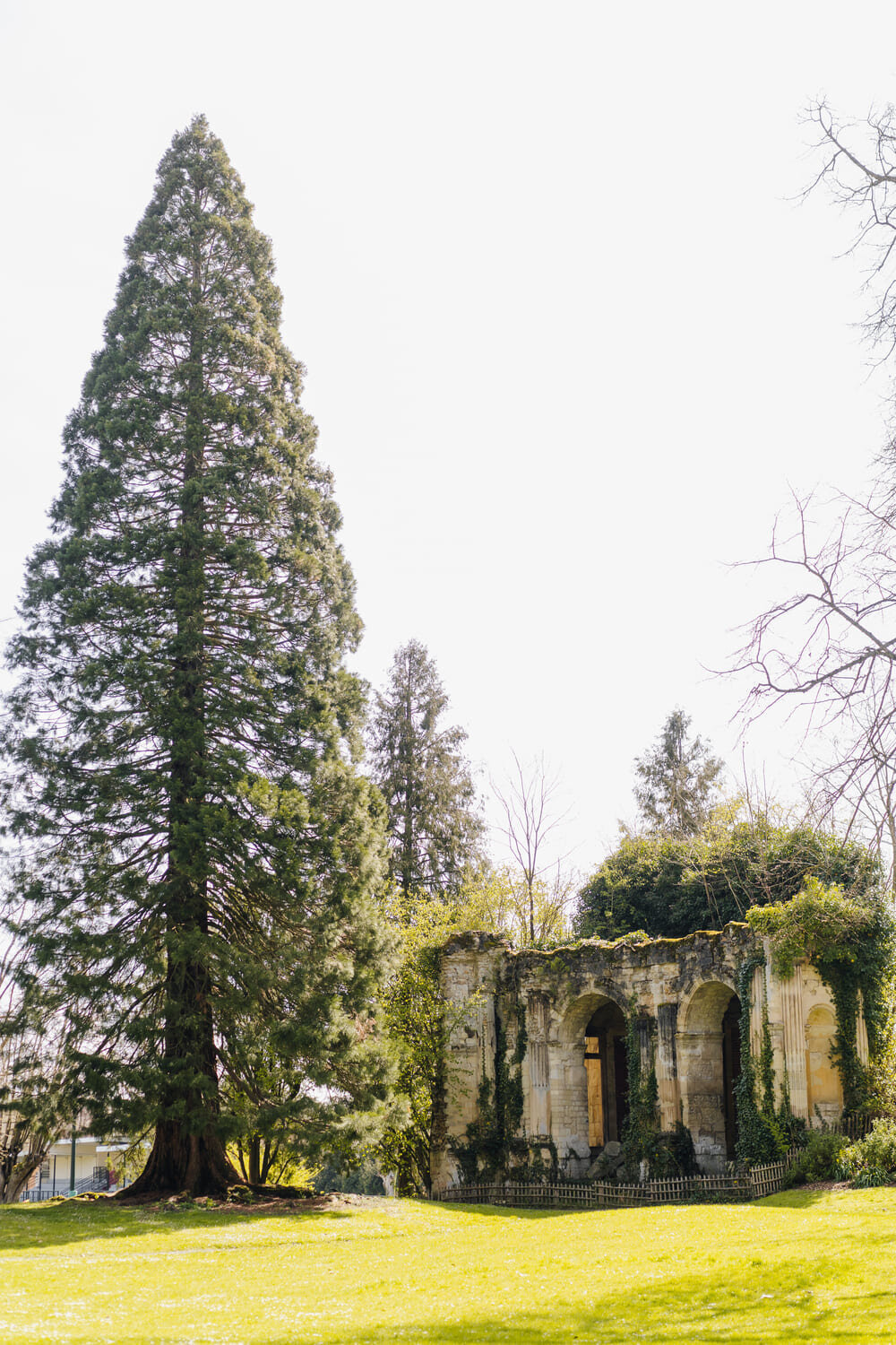 lieu-de-mariage-nature