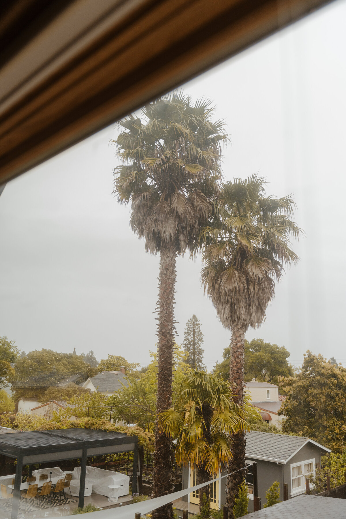 Katherine Rose Co-40CA Wedding Photographer