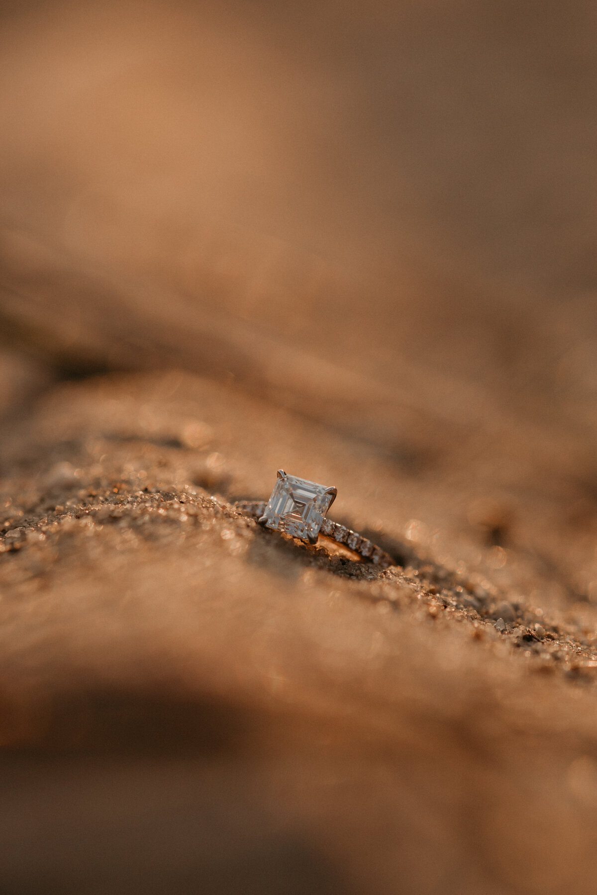 Melissa_Phil_Engagement_Session_Sneak_Peek_5.20.21-27