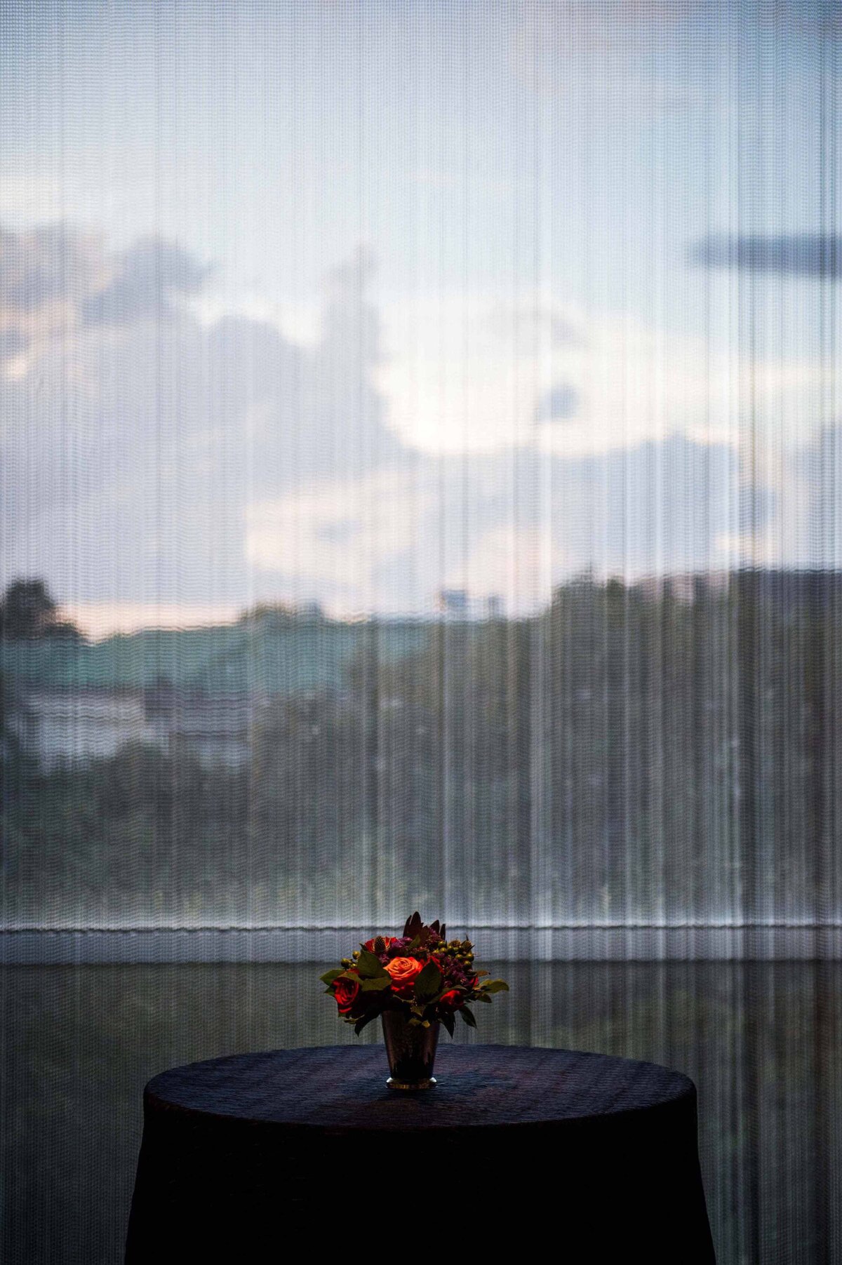 Flowers illuminated on table withblurred scenic landscape behind them