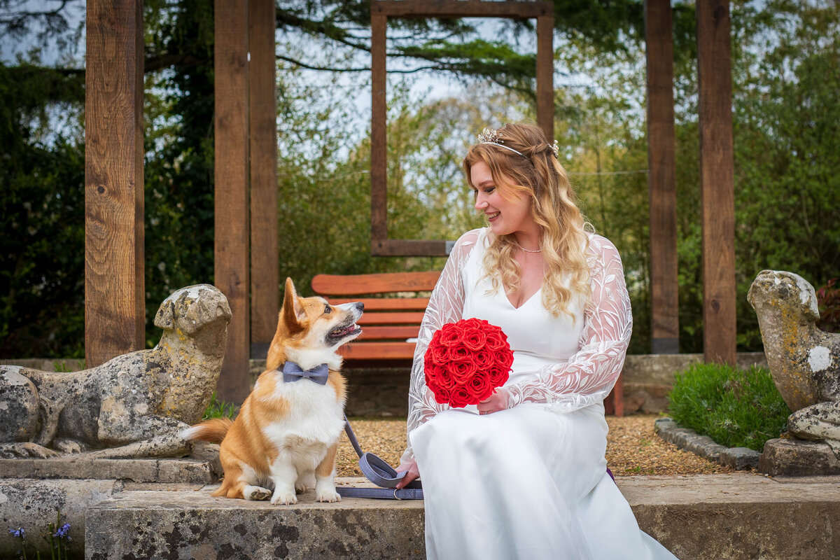 Paper red rose wedding posy held by bride with her corgi