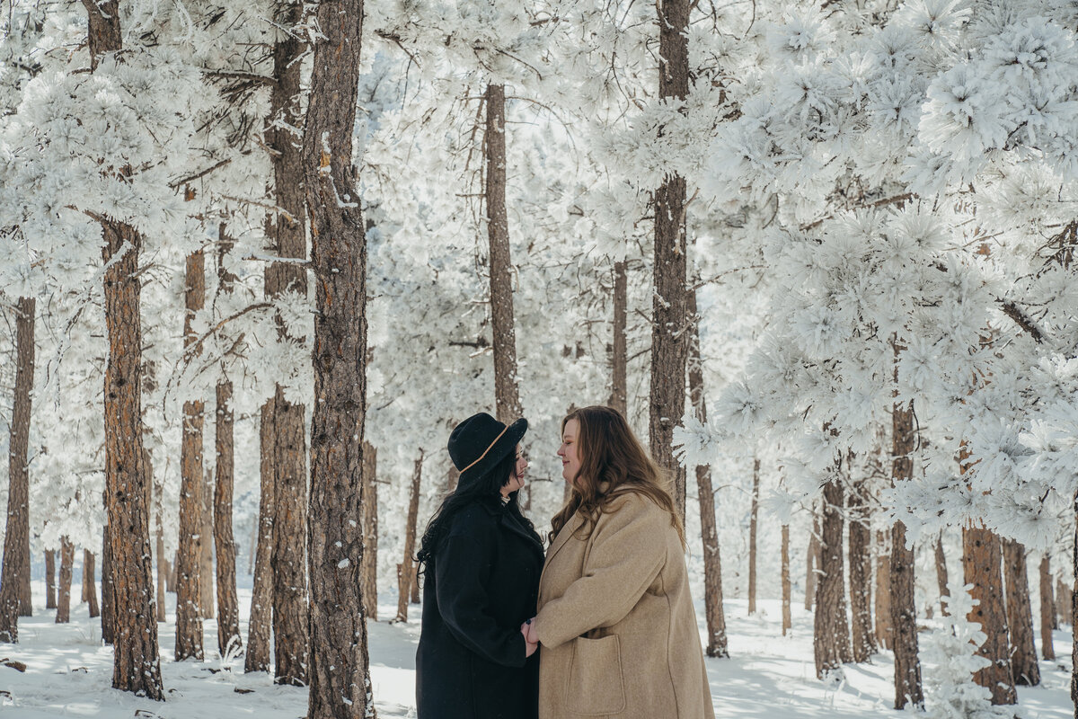 2023-Jan-Idaho-Spring-Lookout-Mountain-Colorado-Winter-Wonderland-Engagement-Photos-LGBTQ+-Molly-Margaret-Photography-31