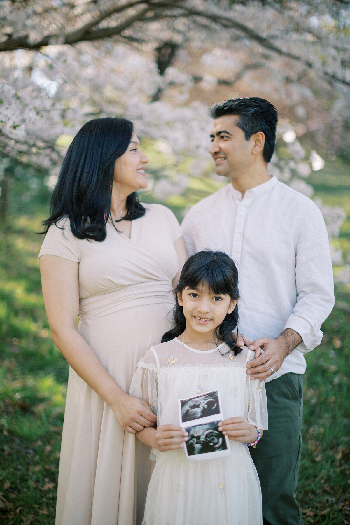 cherry blossom family photography in rochester, ny
