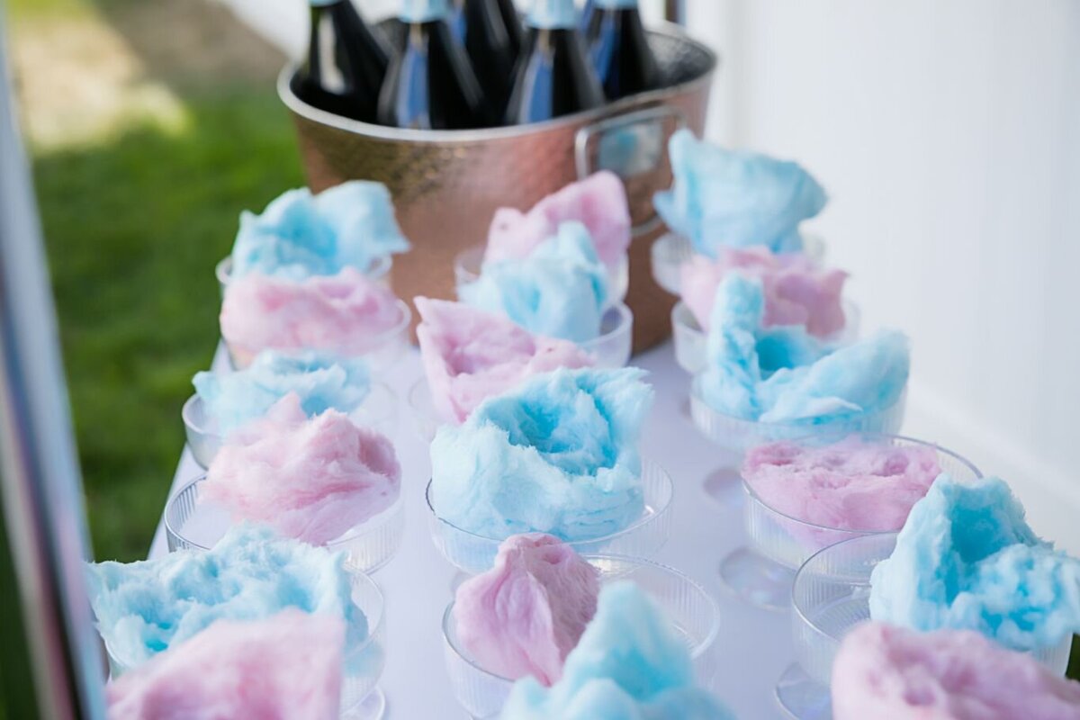 gender-reveal-party-27