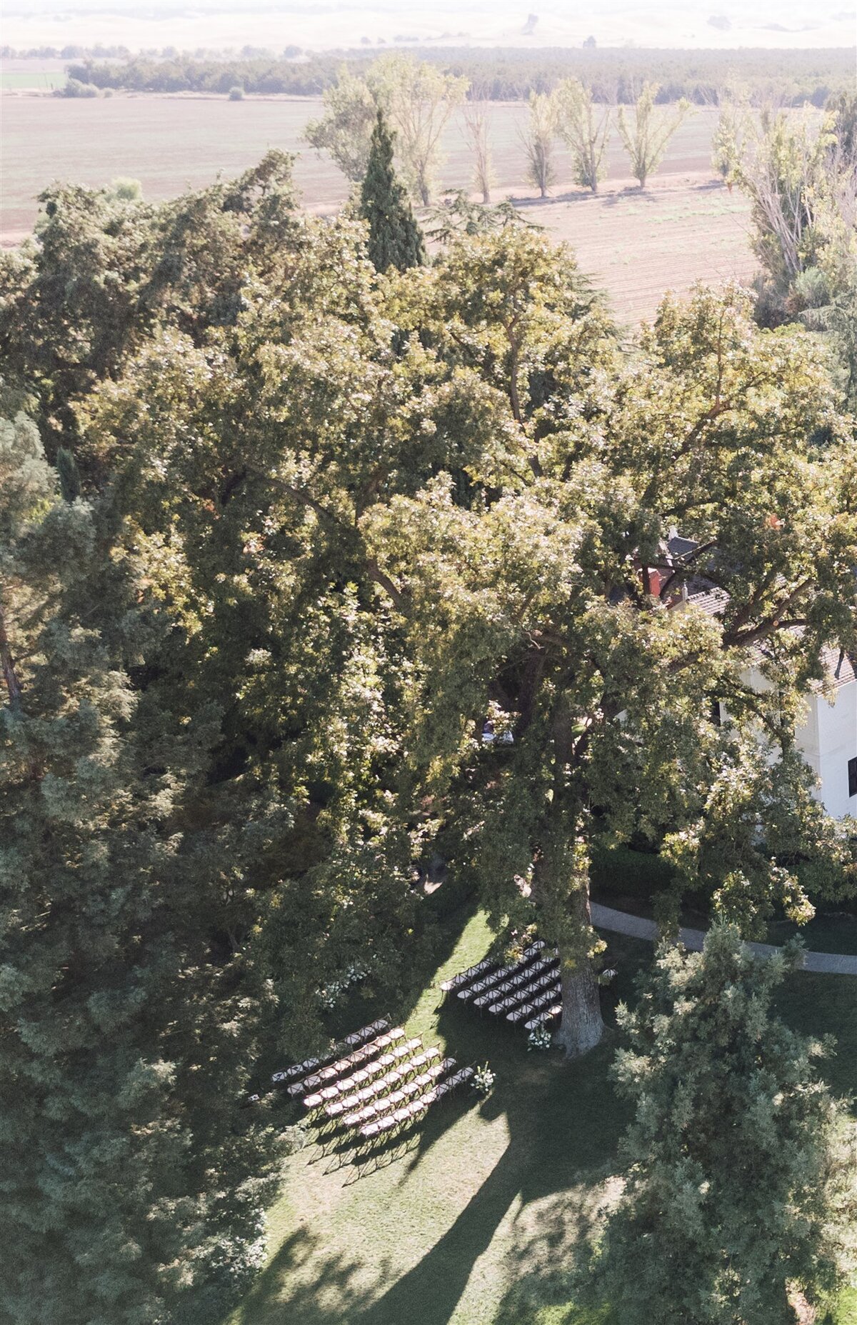 park-winters-wedding-shauna-clay-drone-ashley-carlascio-photography-0005
