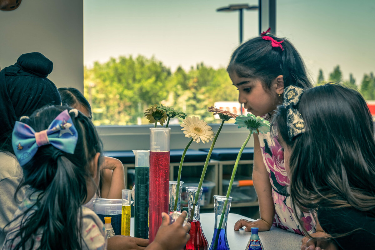 Diversity in the Preschool Classroom