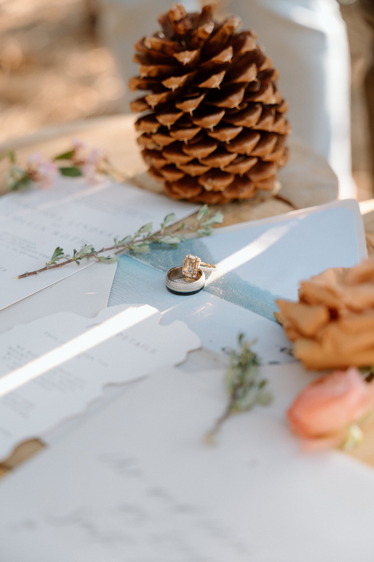 south-lake-tahoe-engagement-4