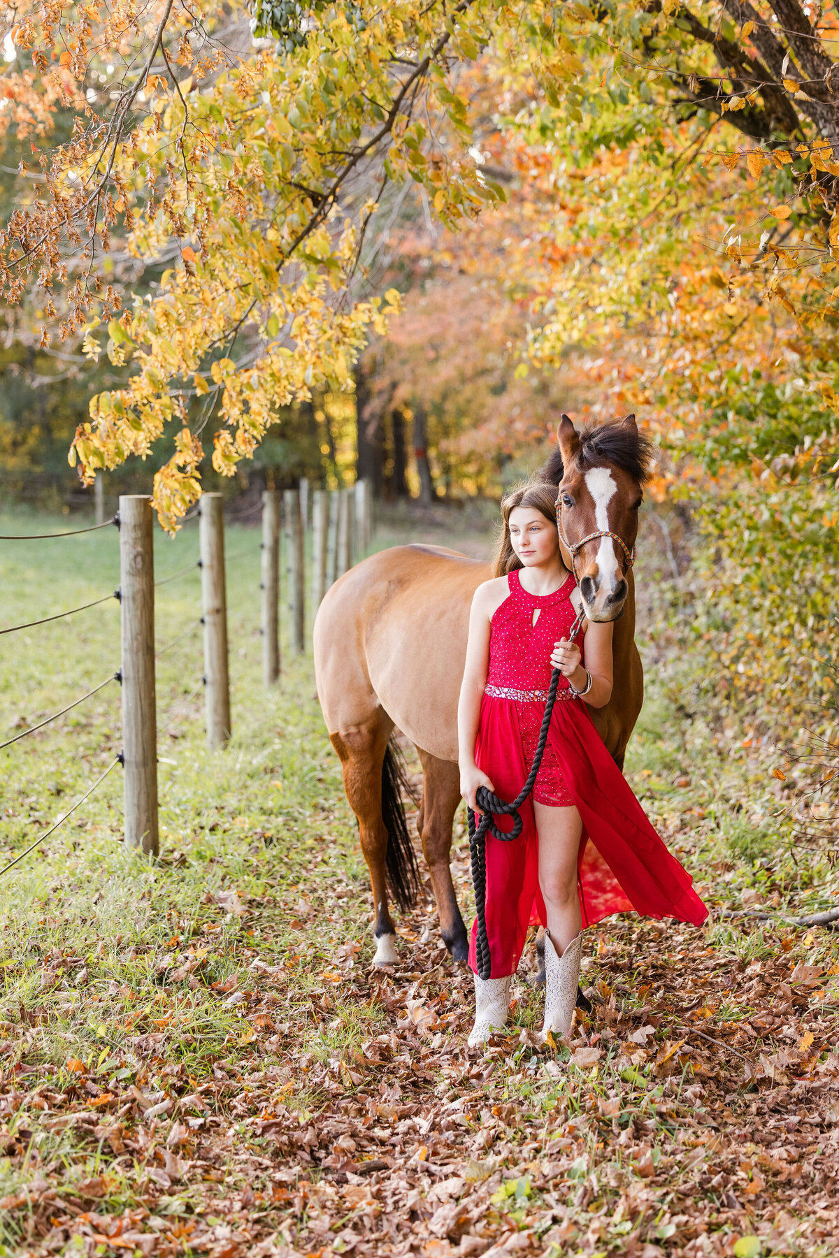 equestrian-photographer-saratoga-ny-169