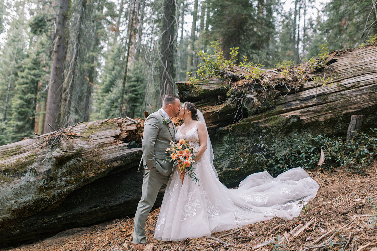 Kimberly and Keith Elopement in Sequoia-389_websize