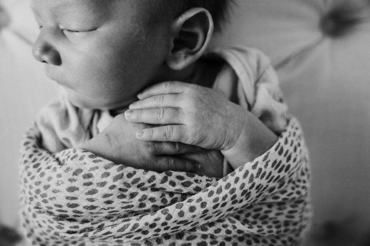 Newborn Photographer,, a baby sleeps with arms folded across chest swaddled in a blanket