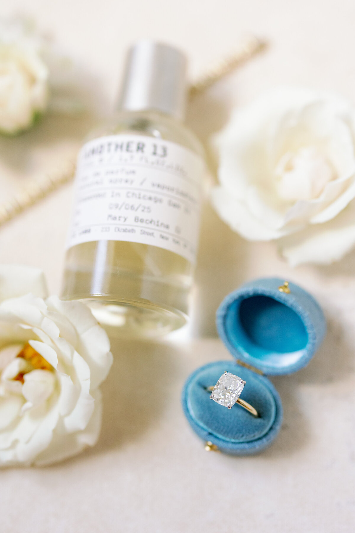 The Drake Hotel Chicago Wedding Photos-6